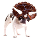 Image for article titled The Strongest Pro-Genetic Engineering Argument Yet